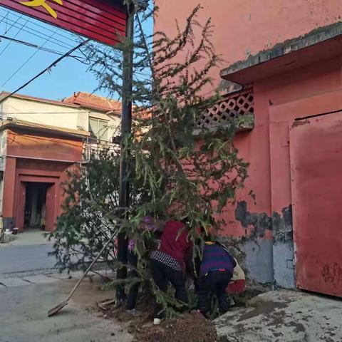 卫东村两委近期工作任务