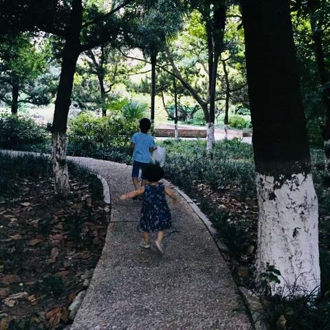 立秋识叶记（一2班丁晨策）