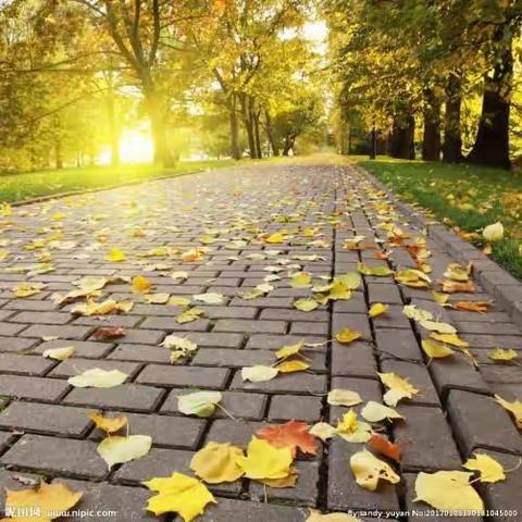 祖国七十年华诞，手抄报献礼中国