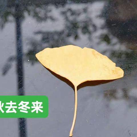秋去冬来