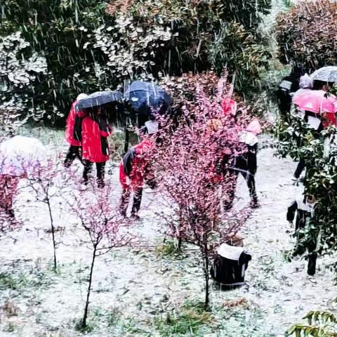 阳春三月，美好正当时