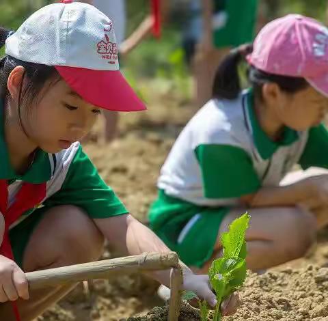 头条，9月前中小学要学做饭了