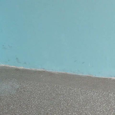 班主任姐妹们： 请静下心来教育好我们的学生爱护好我们的墙面。