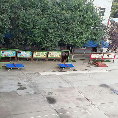 共创美好校园——紫金山街小学卫生工作纪实