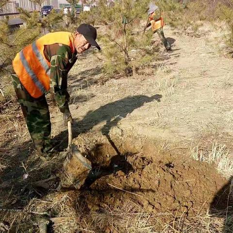 植树添绿  共建美好生态公路