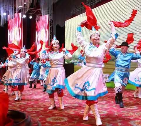 2019年内蒙古知青联盟年会                      暨（四地）          春晚节目海选（第二集）