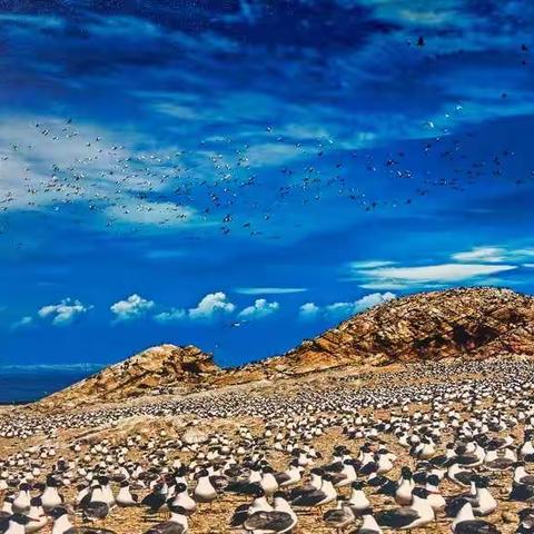 观《大美青海》摄影巡回展