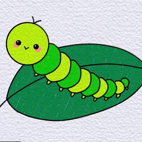 蚕的一生🐛