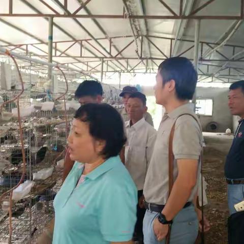 团市委开展“扶贫日”系列活动，喜迎十九大召开。