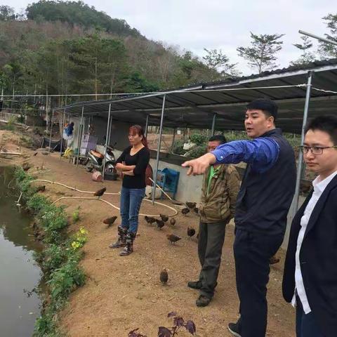 团市委落实三亚市扶贫攻坚推进会工作纪实6