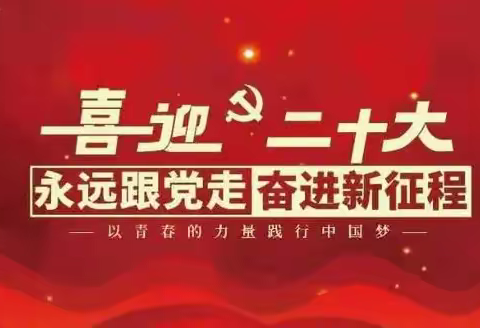 同心向党盼盛会 奋楫扬帆启新程 ——新秀学校党支部喜迎中国共产党第二十次全国代表大会胜利召开