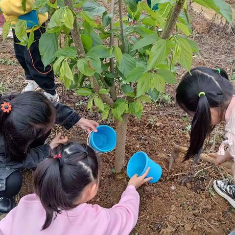 英华幼儿园植树节活动→为地球妈妈添一点绿！