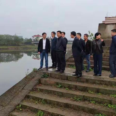市领导巡河履职 督查“五水共治”