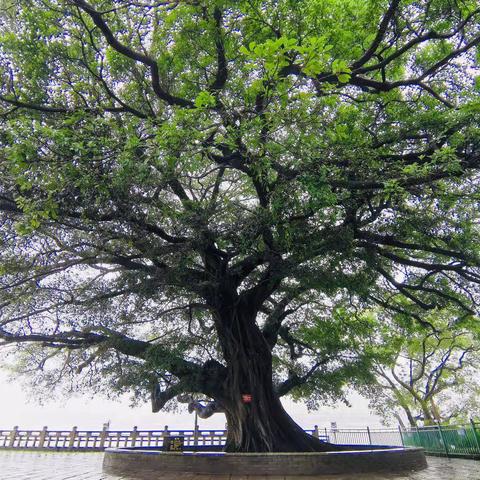 让心灵去旅行（温州行一二日）