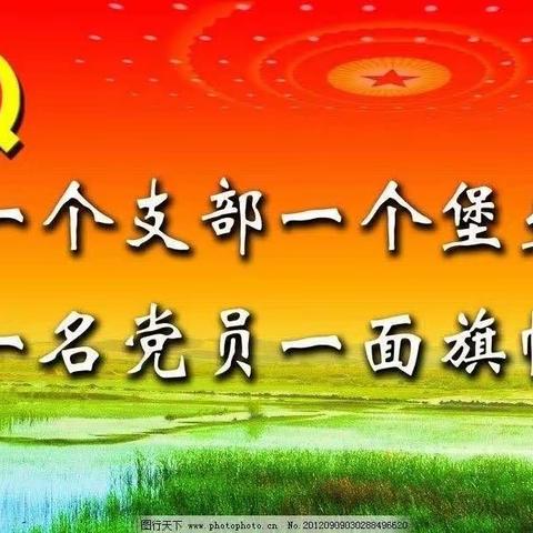 党员“码”上亮承诺  汇聚能量再启航