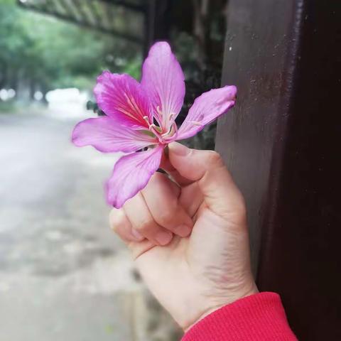 我和春天在雨中的一次约会