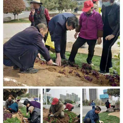 蝶舞迎宾客  花艳扮佳节