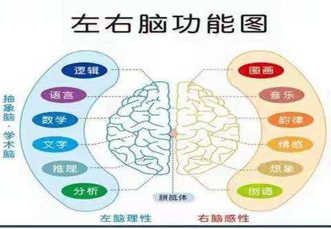 修行之路——博才拓维学校全课程学习之行