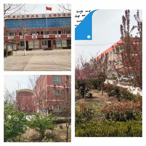 听评互促，砥砺前行——颜村铺乡中学数学教研组听评课活动。