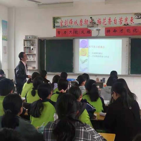 追求卓越，绽放精彩——颜村铺乡中学初中数学教研组听评课活动
