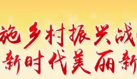 【推进示范创建，助力乡村振兴】竹林乡组织观摩乡村振兴示范带建设工作