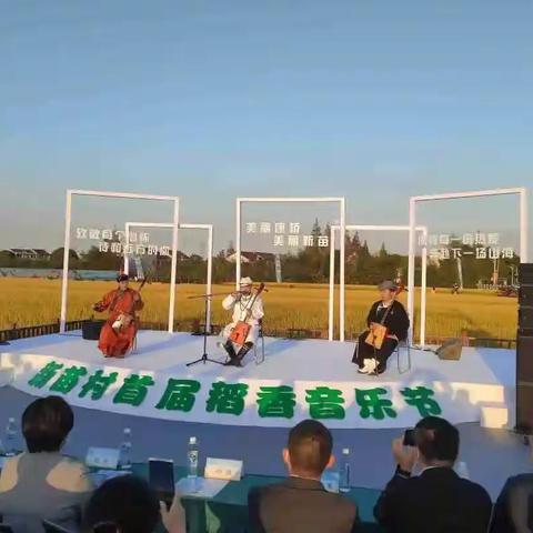 幕天席地的田园牧歌，新苗村首届稻香音乐节举行