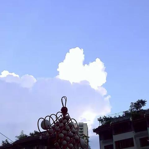 优雅的生活，彰显了现代的美。