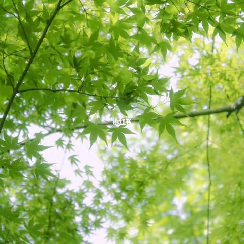 2208乘风破浪组五一劳动美篇