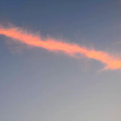 无数的梦中故事，就从彩色幻想开始——201班阅读探险《七色花》活动