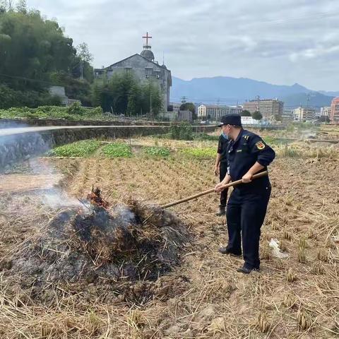 湖岭中队近期秸秆焚烧处置动态