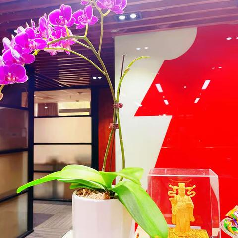 张江药谷蔡伦路小办公室 适合小微企业创业办公的地方