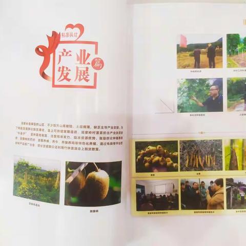 情满瑶乡--简家岭脱贫攻坚纪实