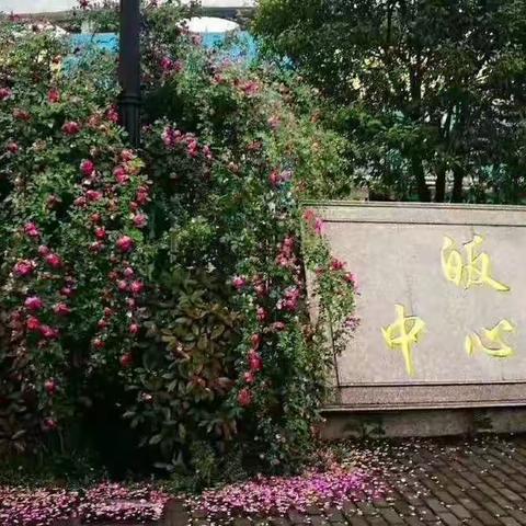 与爱同行，家访永远在路上