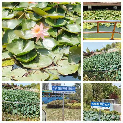 暑假的快乐时光