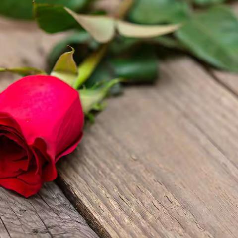 幸福是什么？幸福就是珍惜当下，怜取眼前人