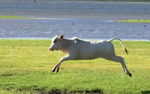 盘点童年玩过的那些游戏