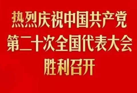 喜迎二十大，奋进新征程——曙光幼儿园组织团员观看党的二十大直播盛会