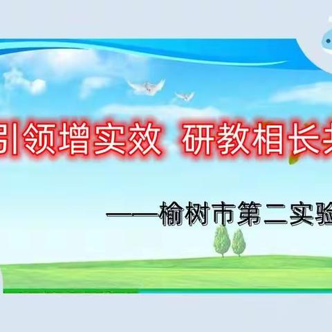 示范引领增实效  研教相长共提升   一一榆树市第二实验小学教师专业能力提升线上培训纪实