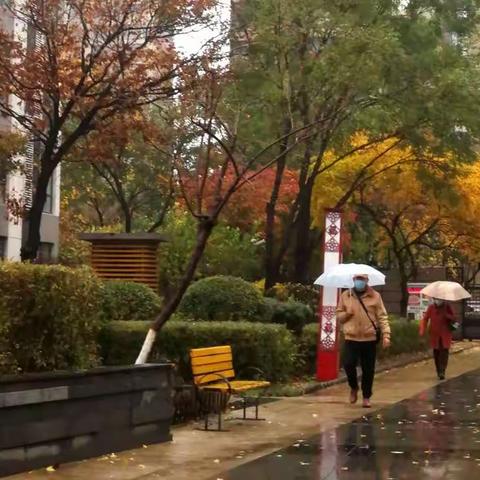 雨后随拍