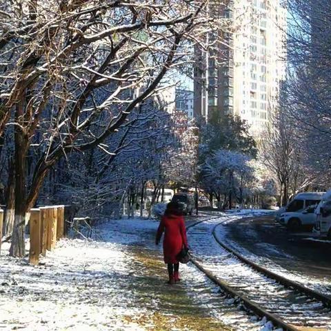 雪后树挂