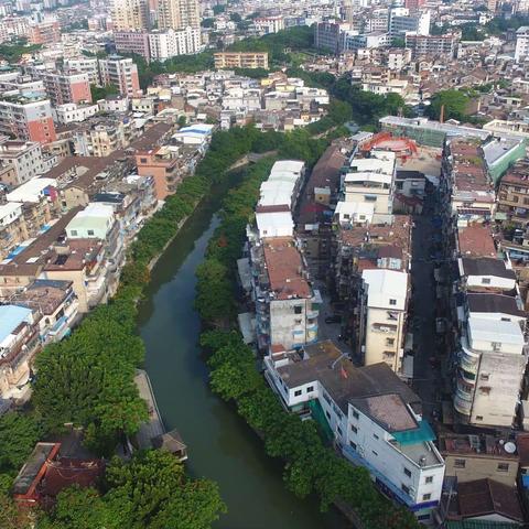 龙海市石码渔业社掠影