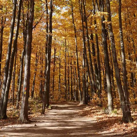 Crawfort Lake C. A. and Rattlesnake Point C.A. 2022-10-23