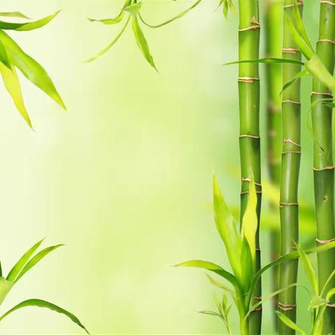 课前五分钟演讲汇总（第四组）