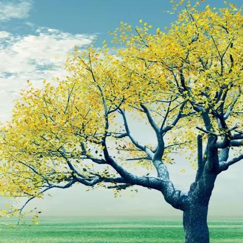 课前五分钟演讲汇总（第三组）