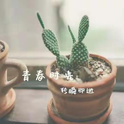 优秀演讲稿展（一）