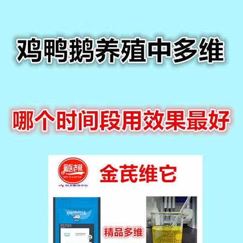 禽医老葛讲：鸡鸭鹅养殖中多维哪个时间段用效果最好