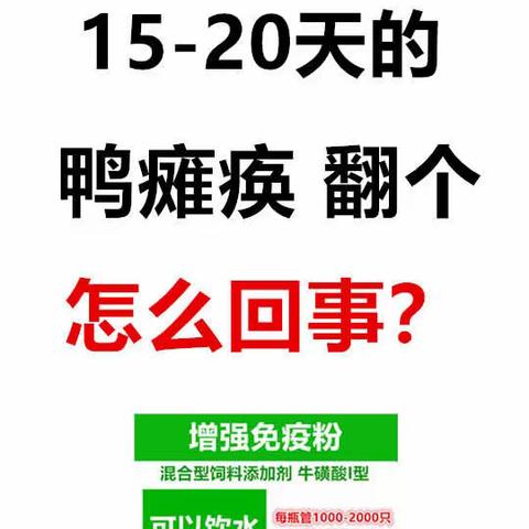 禽医老葛讲：15到20天的鸭子瘫痪怎么办？