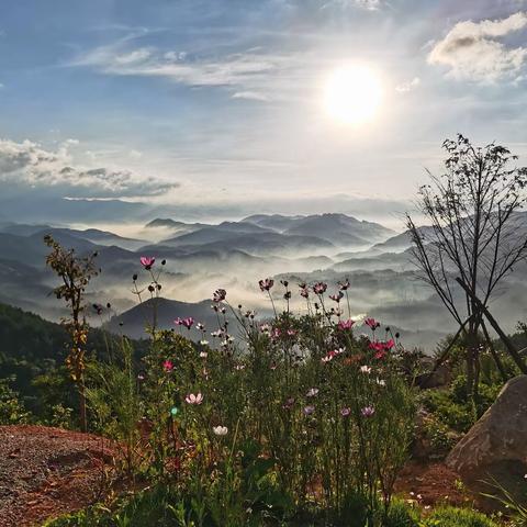 半山村赏月观日出