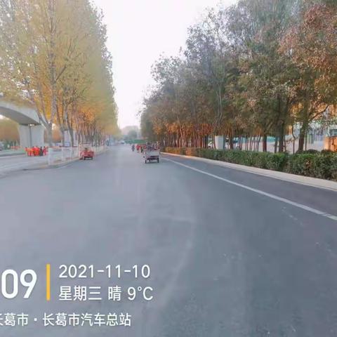 【城区清扫一大队】11月第二周工作采撷