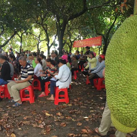 海南省安难办、县侨联到三道居开展归侨侨眷菠萝蜜种植技术培训